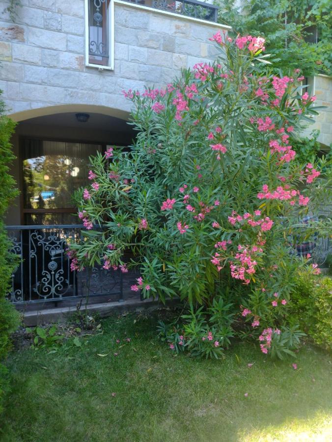 Destination Bulgaria 2000 Cascadas Private Summer Family Apartments Napospart Kültér fotó